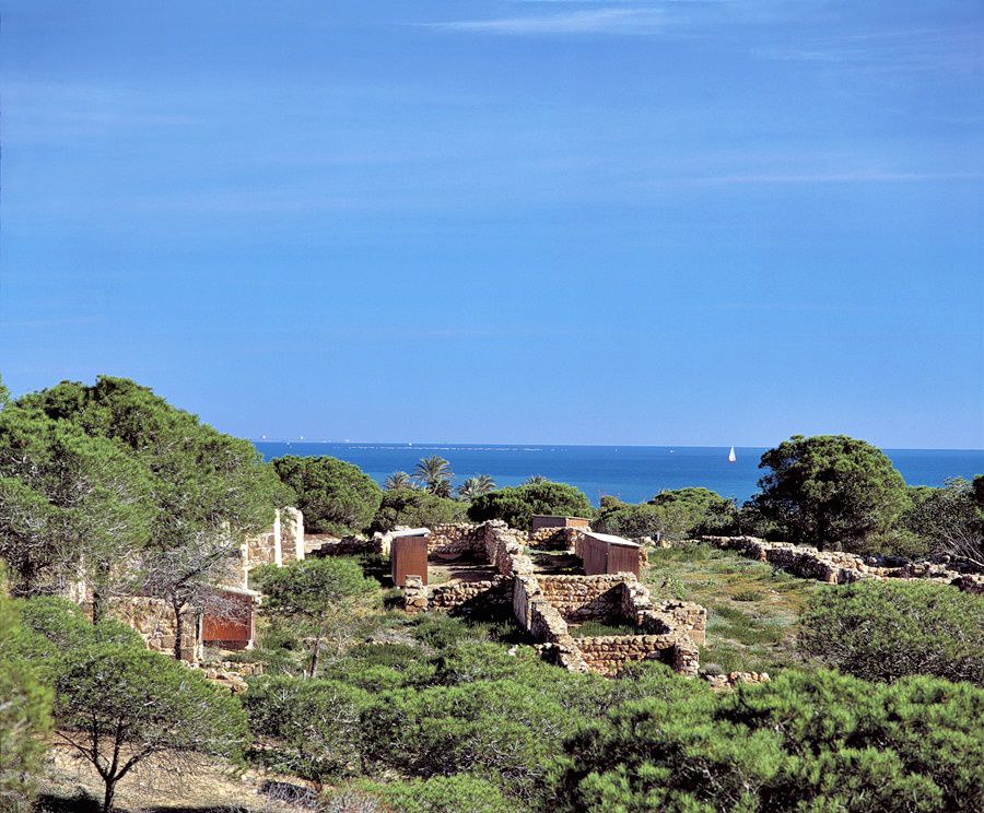 Hotel Mediterráneo Guardamar del Segura Esterno foto